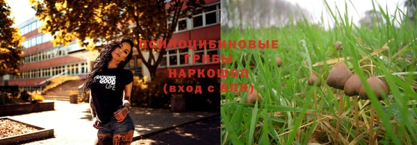 мет Арсеньев