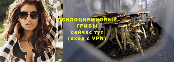 мет Арсеньев