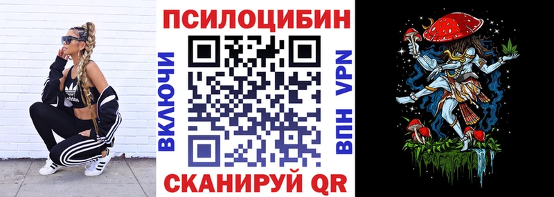Псилоцибиновые грибы Psilocybe  Губаха 
